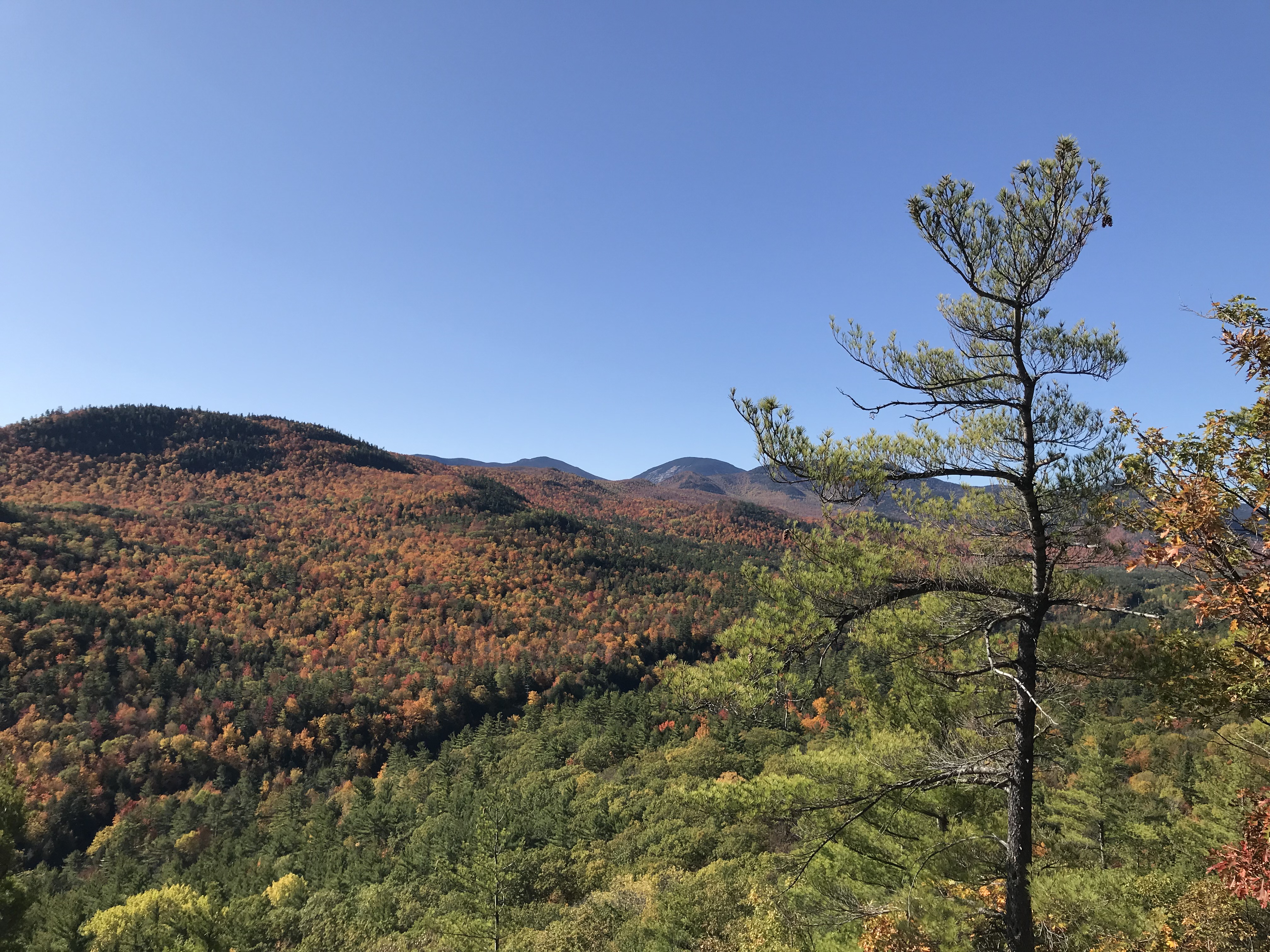 9 Ways to Give Back to the ADKS